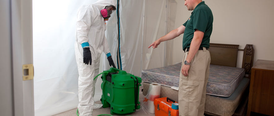 Wentzville, MO mold removal process